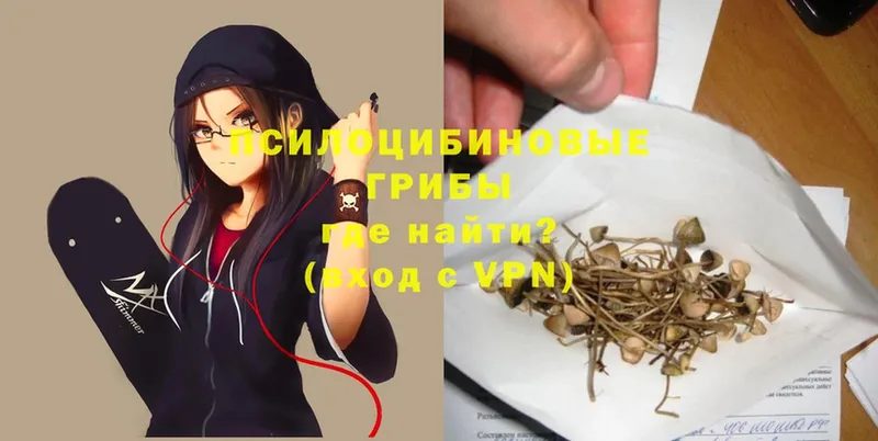 Галлюциногенные грибы Psilocybe  Высоковск 